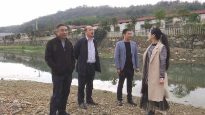 V视 | 吴柏林深入乡镇开展河湖库长制巡查