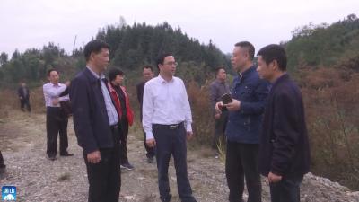 V视 | 朱庆刚来我县检查河湖长制工作