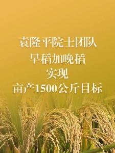 破纪录！