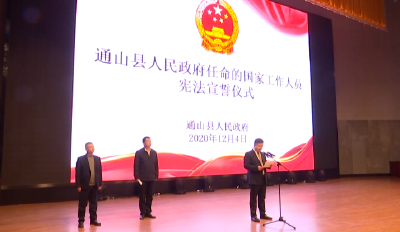 V视 | 通山县举行第七个国家宪法日宣誓活动