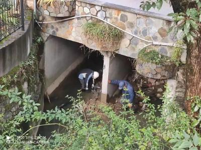 通山法院组织党员下沉社区