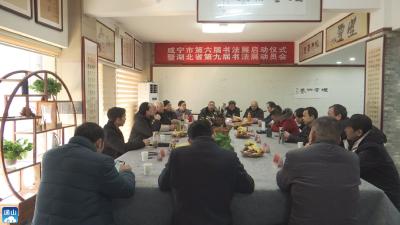 V视 | 咸宁市第六届书法篆刻作品展征稿仪式在通山举行