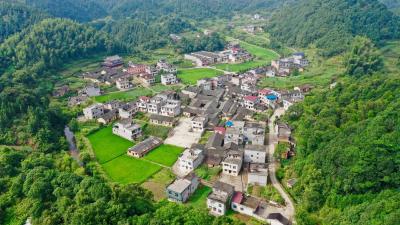 勇搏洪港富水潮  通山洪港镇坚持“1434”思路打造通山东部“工业绿都”