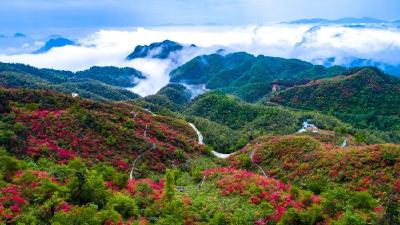喜提“国家全域旅游示范区”！通山喊你来滑雪