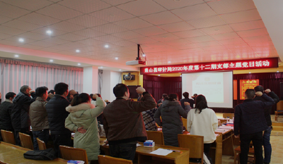 通山县审计局积极开展法治宣传教育月活动