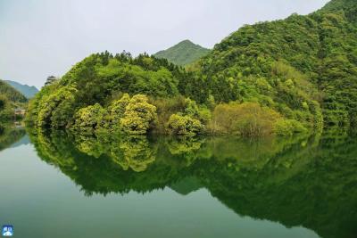 【六大活动】“六大招”扮靓生态通山——通山自然生态公园城市创建纪实