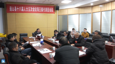 【聚焦两会】V视 | 县人大代表分组讨论：为通山发展建设献计献策