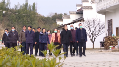 V视 | 张士军来我县调研时强调：解决服务群众的最后一公里 做好脱贫攻坚与乡村振兴有效衔接