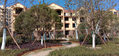 惊爆通山：洋房的价格，别墅的享受