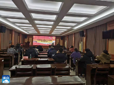 共青团通山县委召开2020年度工作述职会  