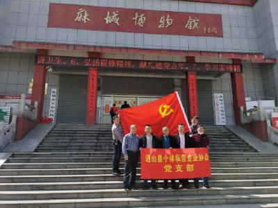 通山县非公个私党支部：赴麻城学党史