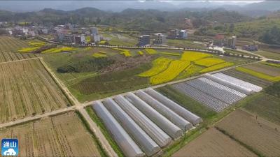 【新春走基层㉑】V视 | 行走在田间地头的“红马甲”