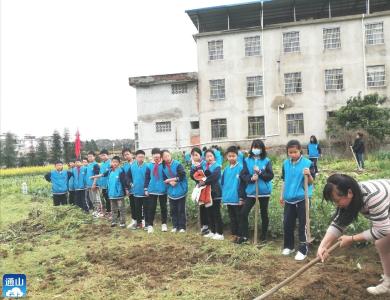 厦铺小学开展