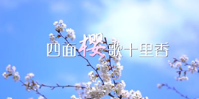 【通山之美】短视频 | 四面樱歌十里香