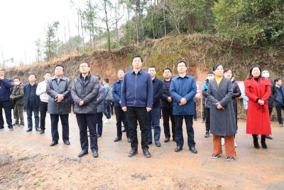 【快讯】全市国土绿化现场会在我县召开，现场组图新鲜出炉……