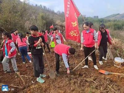 通山再掀义务植树高潮