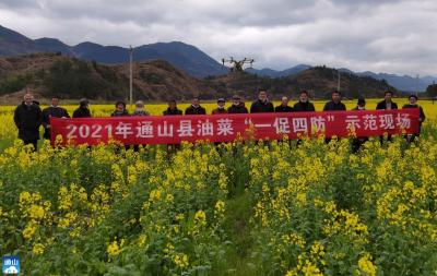 县农业农村局植保站开展油菜“一促四防”行动，科技下乡保“两夏”丰收 