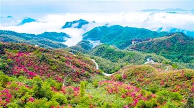 咸宁日报——白云深处的绿色画卷—国土绿化的“通山样本”