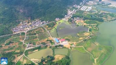 改善质量增加产量！通山建设高标准农田7.03万亩