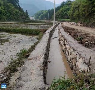 【我为群众办实事】通羊镇推进高标准农田建设