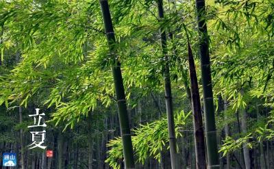 【凤池夜读】第455期丨邓阳朗读《谷雨过，立夏随》