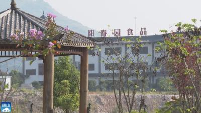 【通山劳模风采②】V视 | 章晓建：爱献一方土 情暖一片天