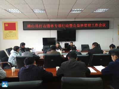 通山启动打击毁林专项行动