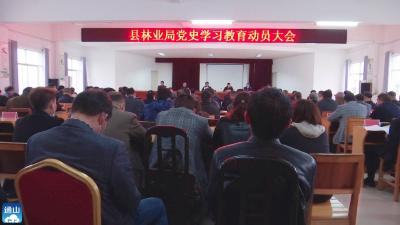 V视 |县林业局召开党史学习教育动员大会