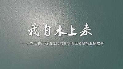 长江云——禁捕退捕故事——我自水上来