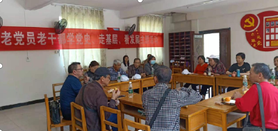 【党史学习教育】县文旅局：开展“学党史、走基层、看发展”为主题活动