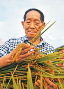 人民日报刊文追记袁隆平：一稻济世 万家粮足