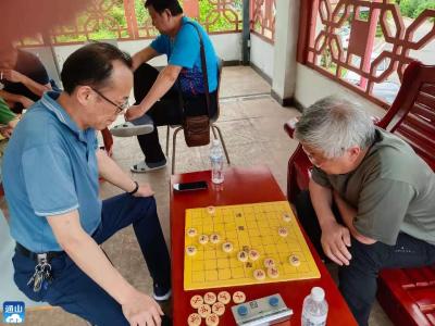 通山县老年人象棋精英赛圆满结束