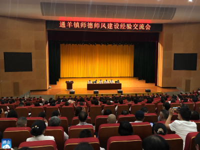 通羊镇中心学校：强化师德师风 促进教育发展