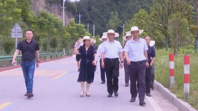 V视 | 省“四好农村路”示范乡镇考评组来通山考评验收  