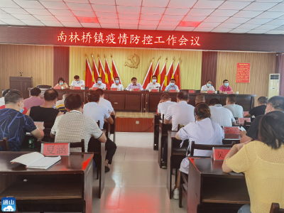 V视 |南林桥镇召开疫情防控工作专题会议  