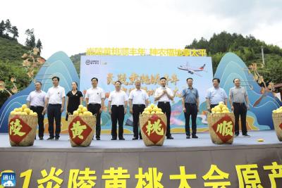 2021炎陵黄桃大会今日举办   现场签约700万公斤  