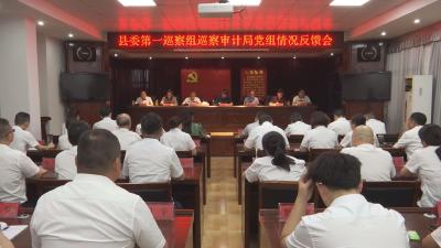 V视丨县委第一巡察组向县审计局反馈巡察情况