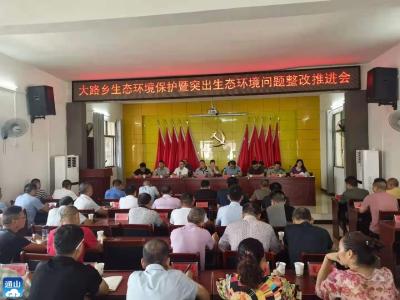大路乡：扎实推进生态环境保护暨突出生态环境问题整改