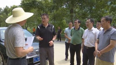 V视丨白新民来通山检查指导防汛抗旱工作