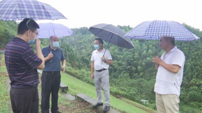 V视丨县领导赴黄沙铺镇检查指导水库防汛工作