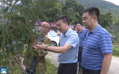 V视 | 省林业局到通山县调研“两山转化”、森林火灾风险普查及林下经济发展情况