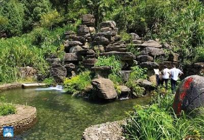 通山：中华鲟“畅游”青山绿水间