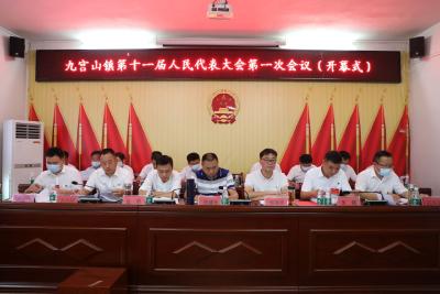 V视 | 九宫山镇顺利召开第十一届人民代表大会第一次会议