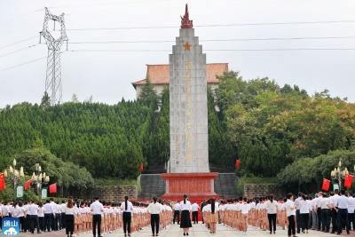 V视 | 祭奠烈士英灵 缅怀烈士功绩  通山在泰和园烈士陵园隆重举行公祭活动