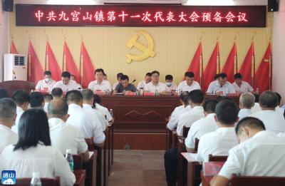 V视 | 九宫山镇：绿色崛起  复兴古镇  建强副中心