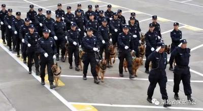 湖北保安哪家强？动动手指来帮忙！