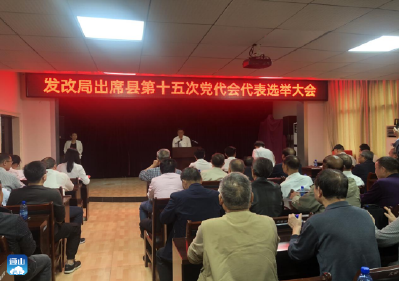 县发改局开展2021年第10期支部主题党日活动暨党代表推选大会