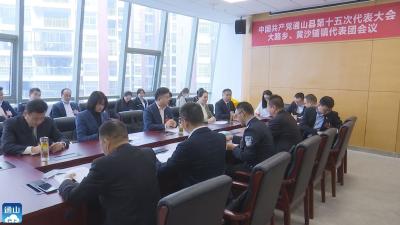 【聚焦党代会】V视丨党代会各代表团分团召开会议