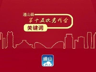 【聚焦党代会】海报丨一组关键词解锁今后五年高质量发展的通山