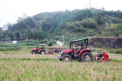 【图文】金秋农事忙！油菜领唱通山秋播重头戏